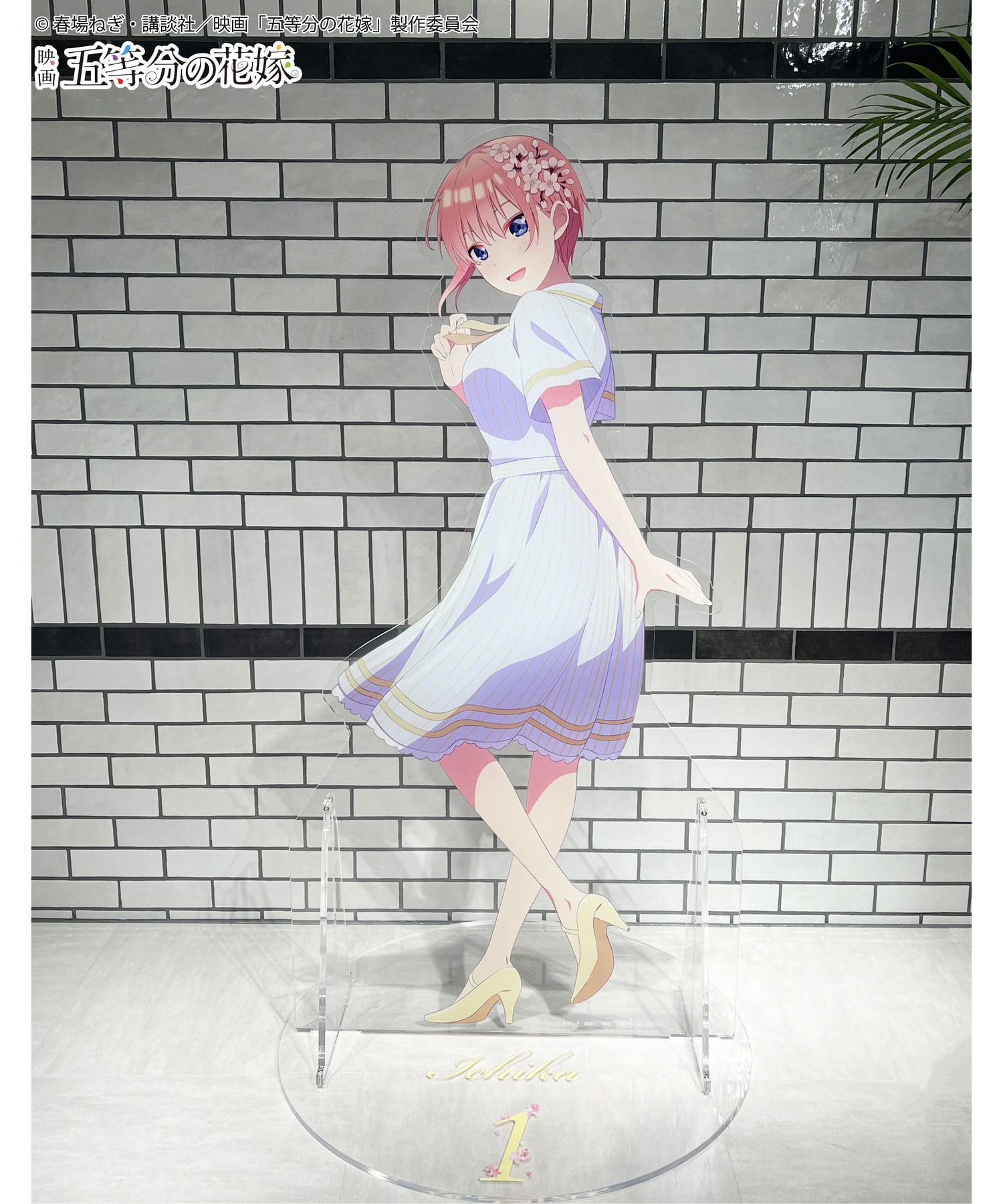 映画「五等分の花嫁」HICUL（ハイカル）新規描きおろし_等身大アクリル