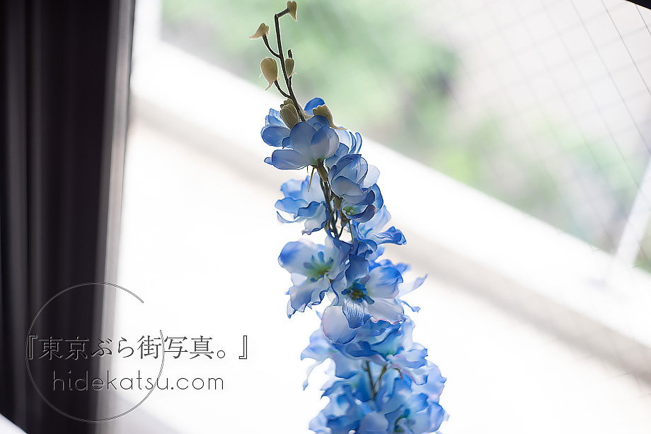 ぐるぐるボケと深いボケのロシアンレンズ Helios 44-2（ヘリオス）58mm