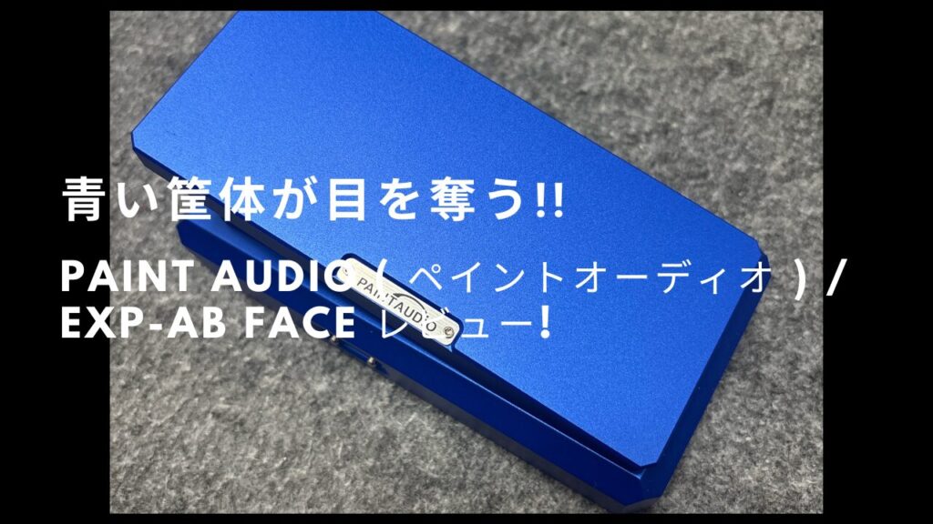 PAINT AUDIO ( ペイントオーディオ ) / EXP-AB Face レビュー! | 弾遊