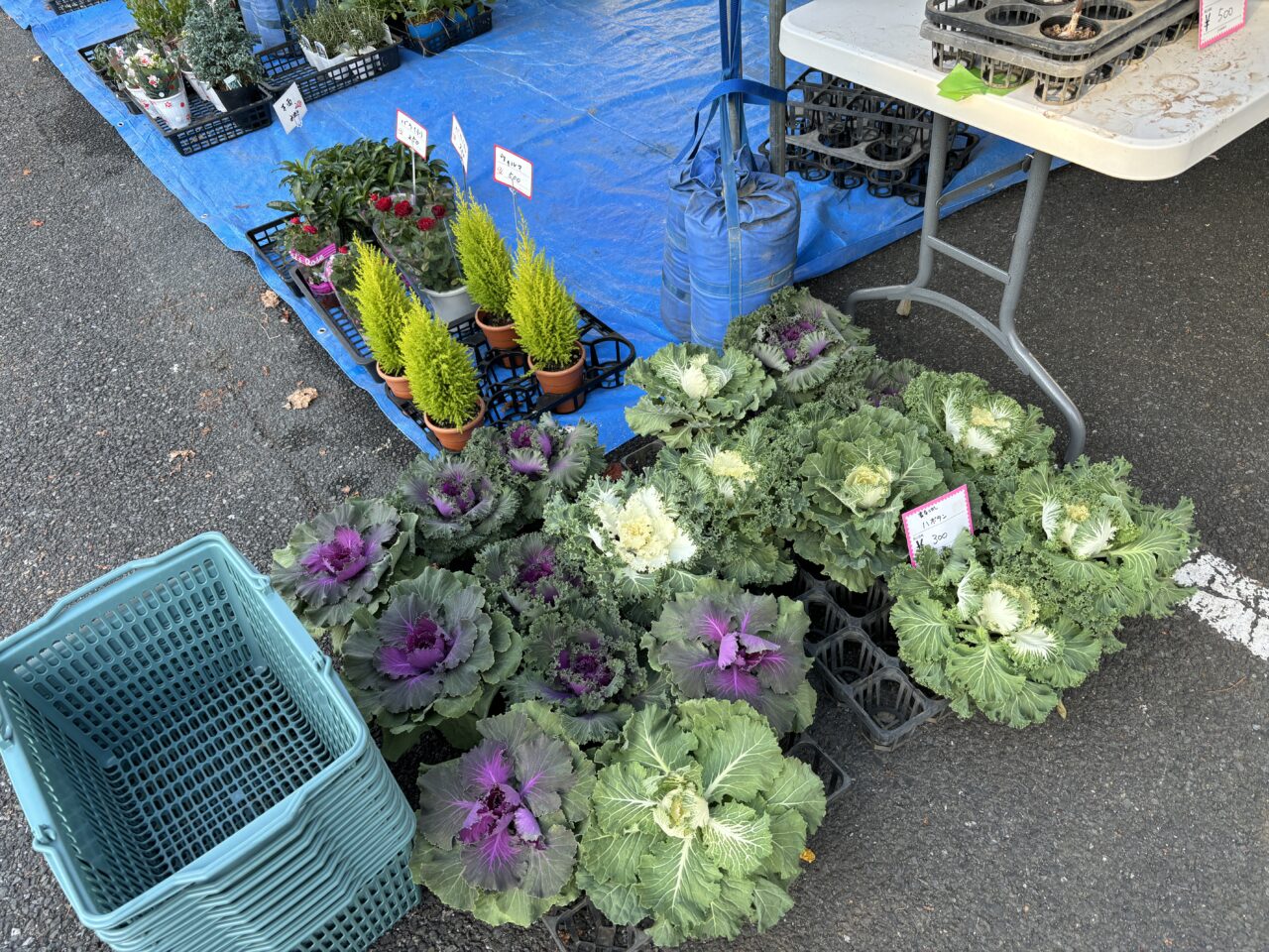 清瀬市】11月15日（土）と16日（日）は「清瀬市コミュニティプラザ