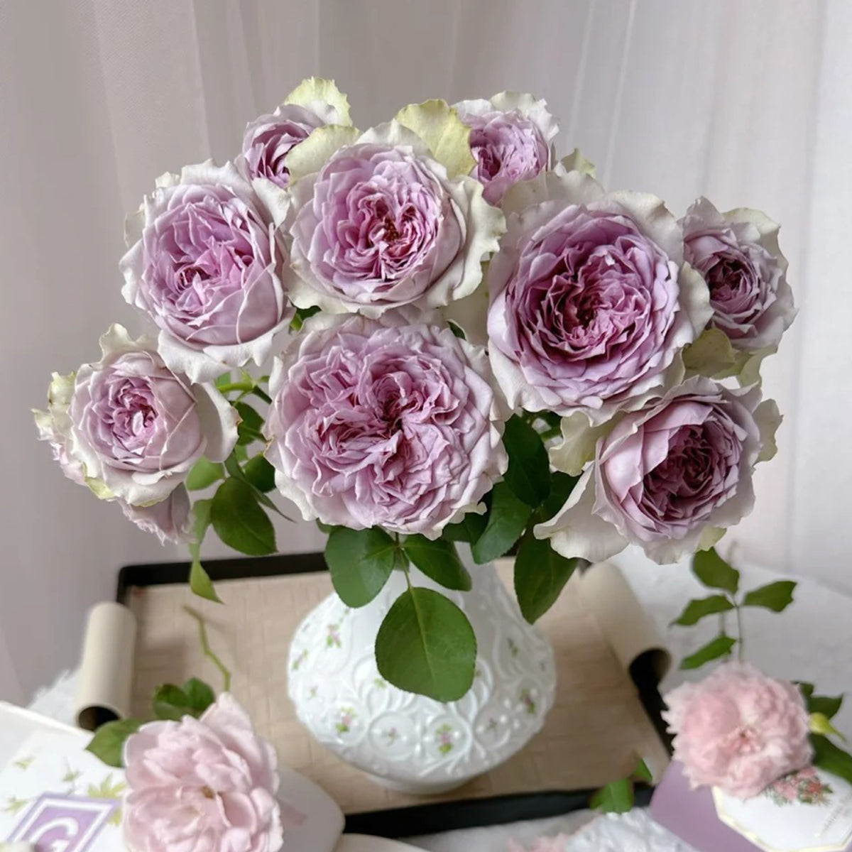 Coffret Japanese Florist Shrub Rose – Highgarden Roses