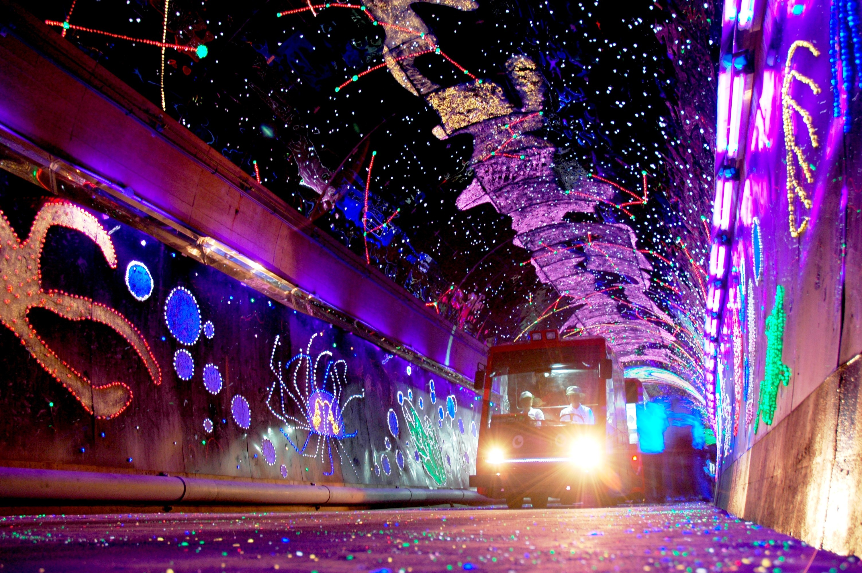 とことこトレイン | 【公式】広島の観光・旅行情報サイト Dive! Hiroshima