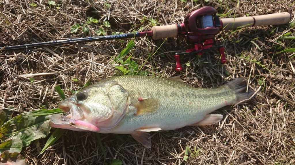 インプレ】スコーピオン1581F-2 | ひたれんのブログ