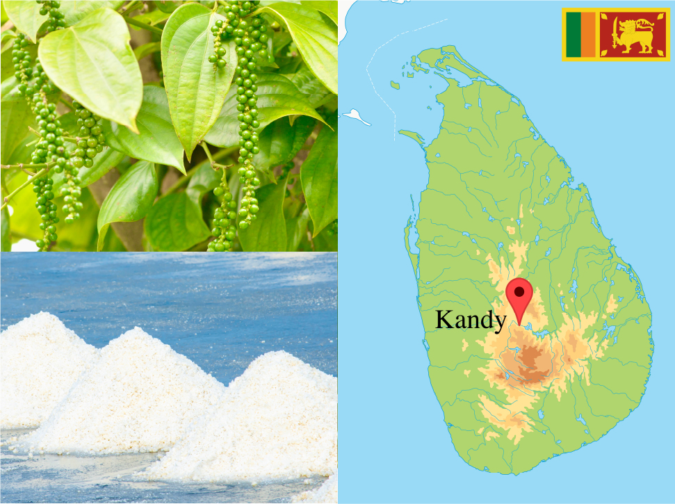 粒生こしょう - HITOSAJIYA