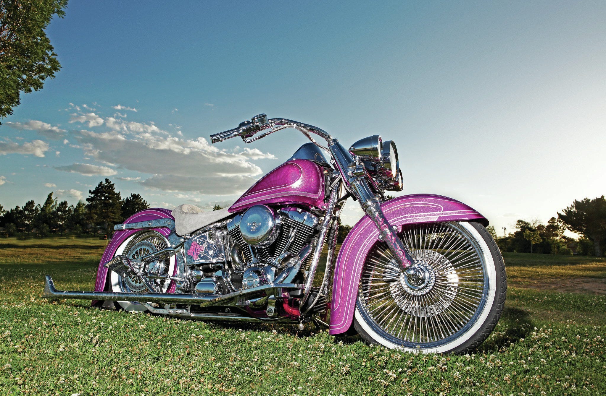 2003 Harley-Davidson Heritage Softail - La Cabrona
