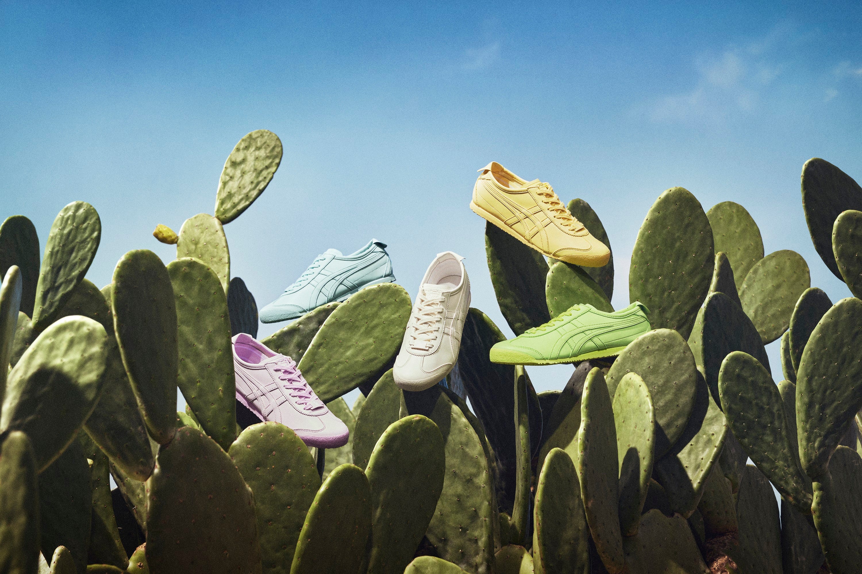 オニツカタイガー」がサボテン素材のスニーカーを発表｜ELLE ACTIVE