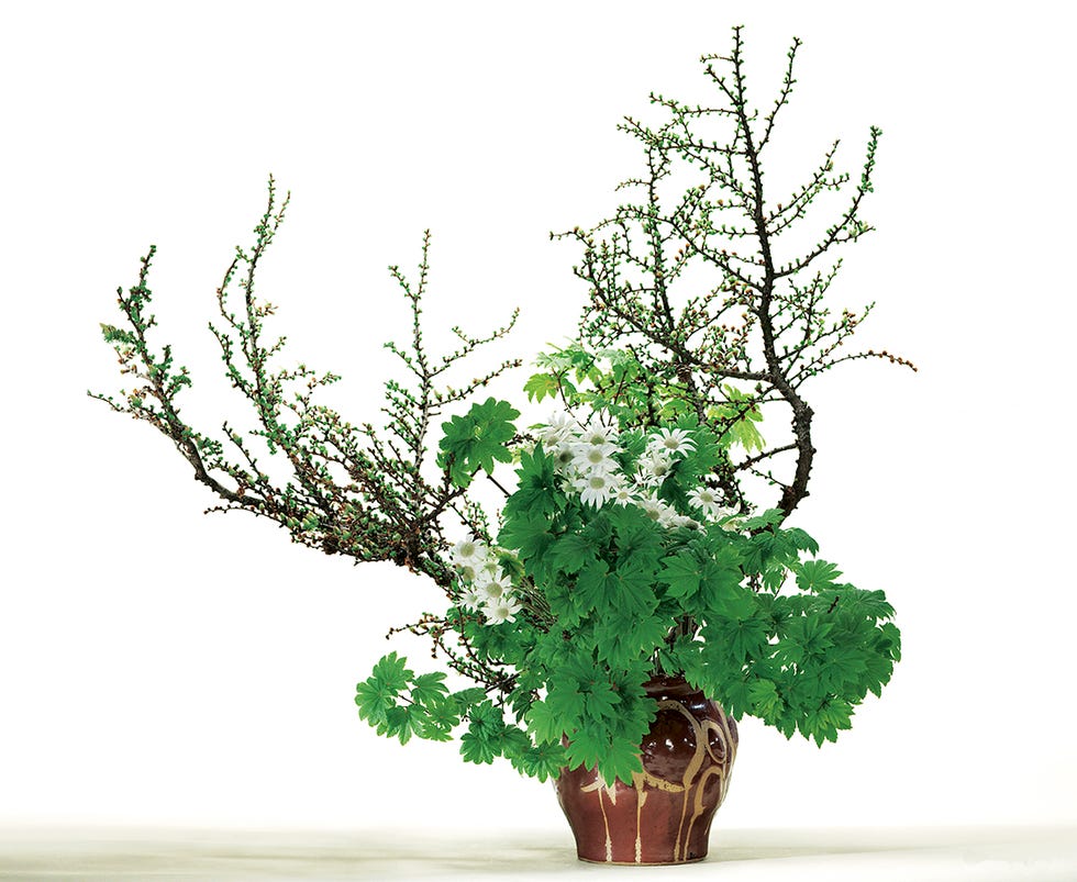 3月 家元のいけばな「花の力を信じて」