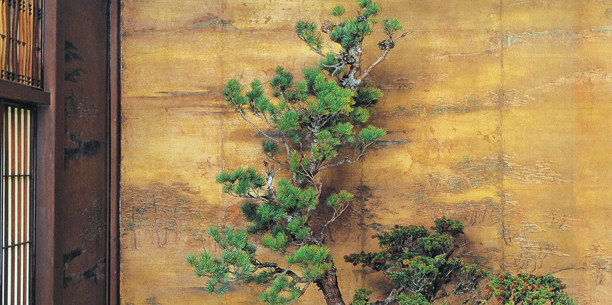 2025-09-01-6879e256d56c7.jpeg?