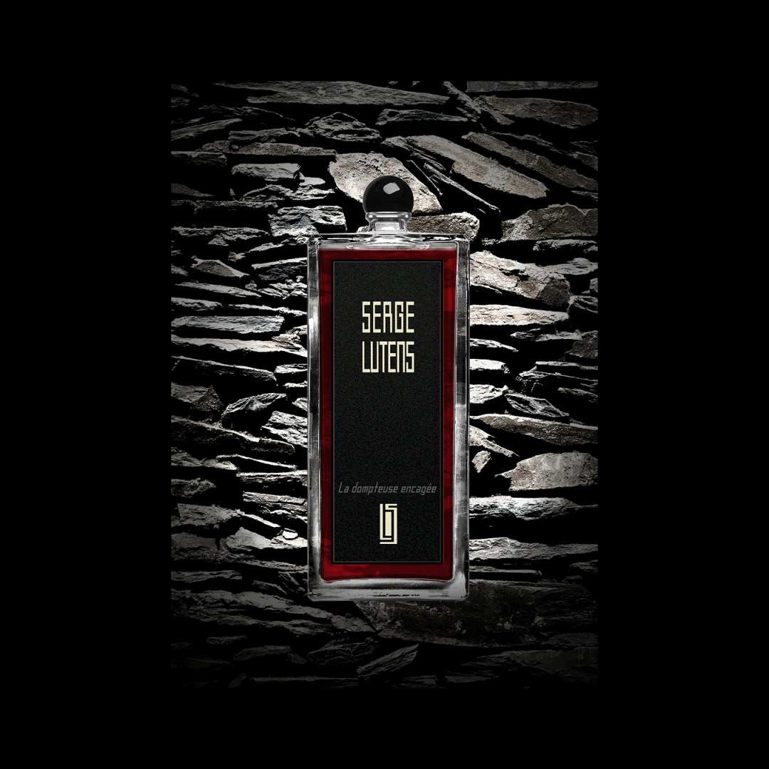 セルジュ・ルタンス」から待望の“ディスカバリーセット”と新作