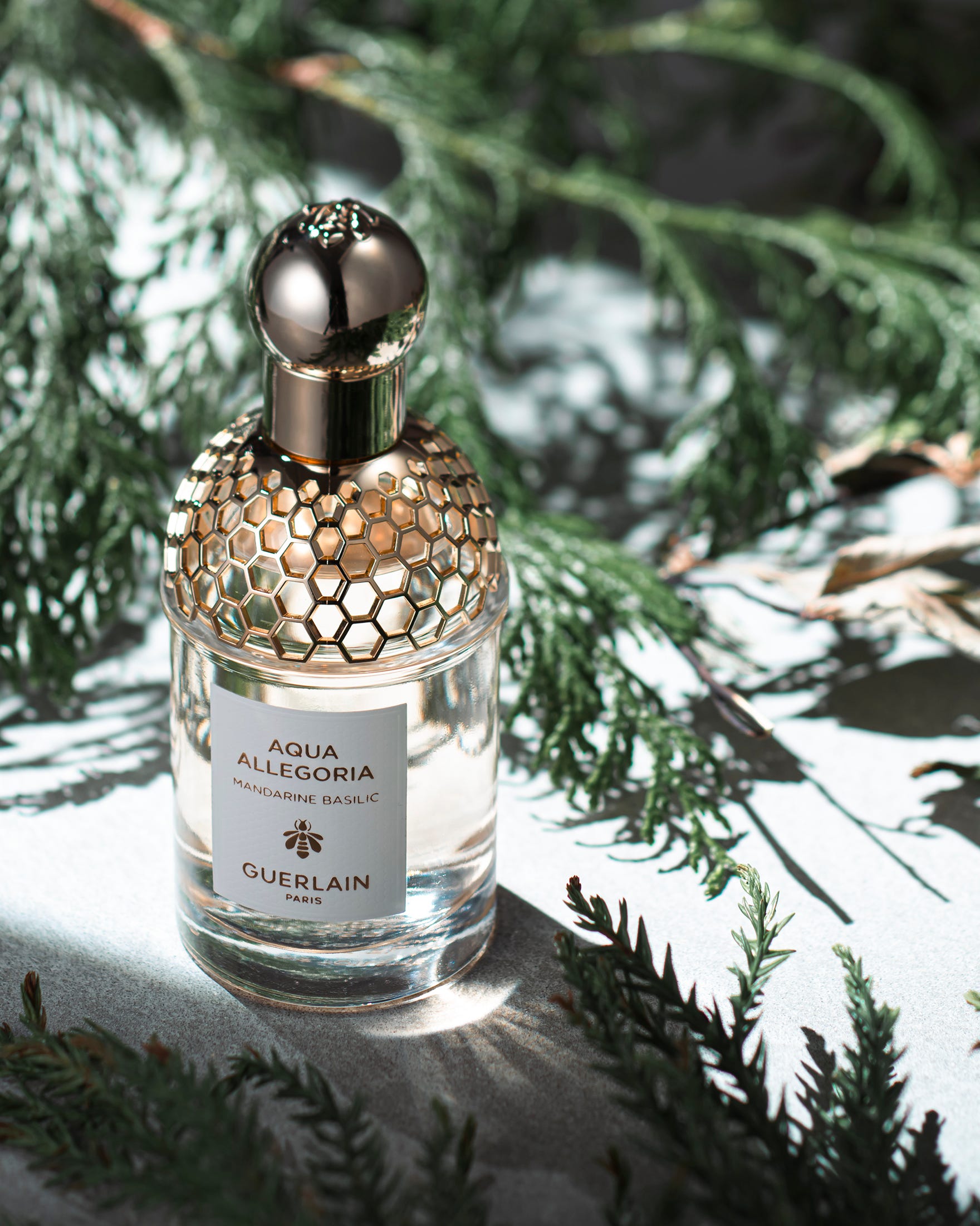 自然への讃美。サステナビリティへの意識を一層高めてくれた、ゲランの