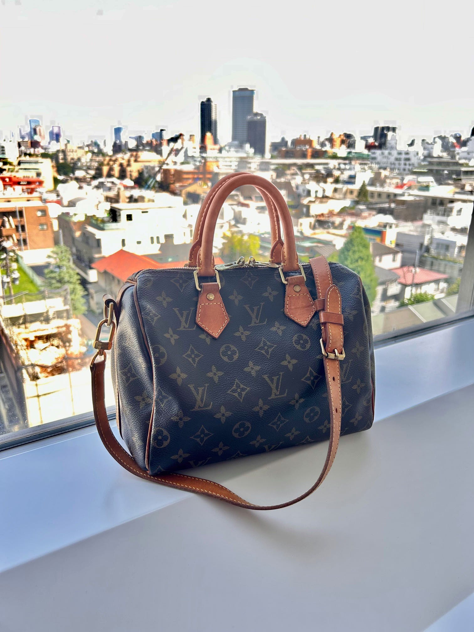 LOUIS VUITTON ルイヴィトン モノグラム パピヨン26 ハンドバッグ ミニ