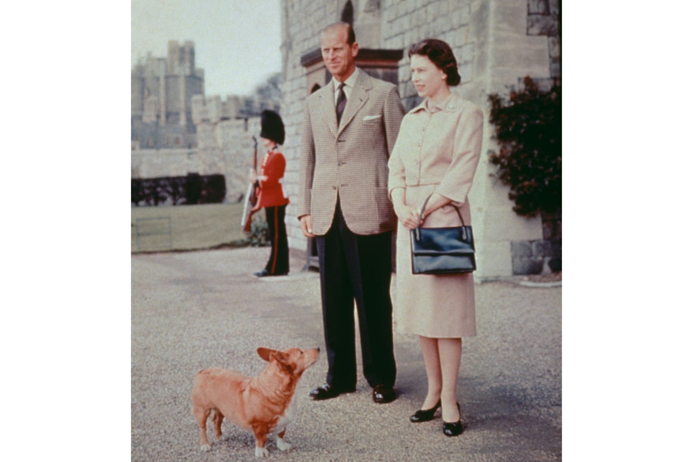 エリザベス女王とコーギー｜王女時代から80年以上にわたる友情の物語