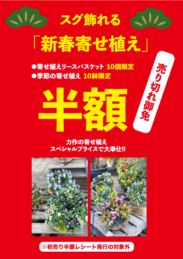 あけましておめでとうございます！！ 恒例！ 新春初売りセール開催