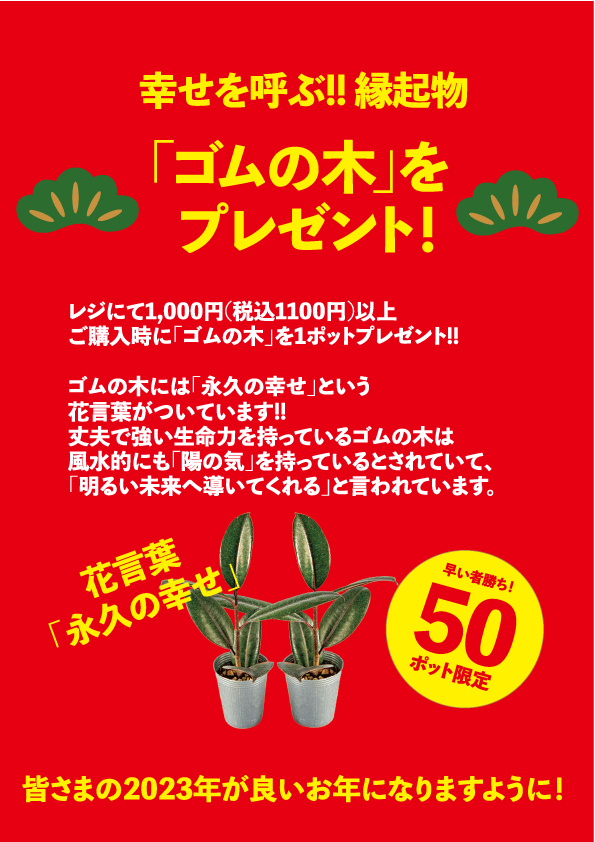 あけましておめでとうございます！！ 恒例！ 新春初売りセール開催