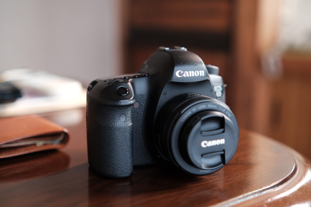 古いフルサイズ一眼レフで森を切り撮る|CANON EOS 6D | hirosaka's