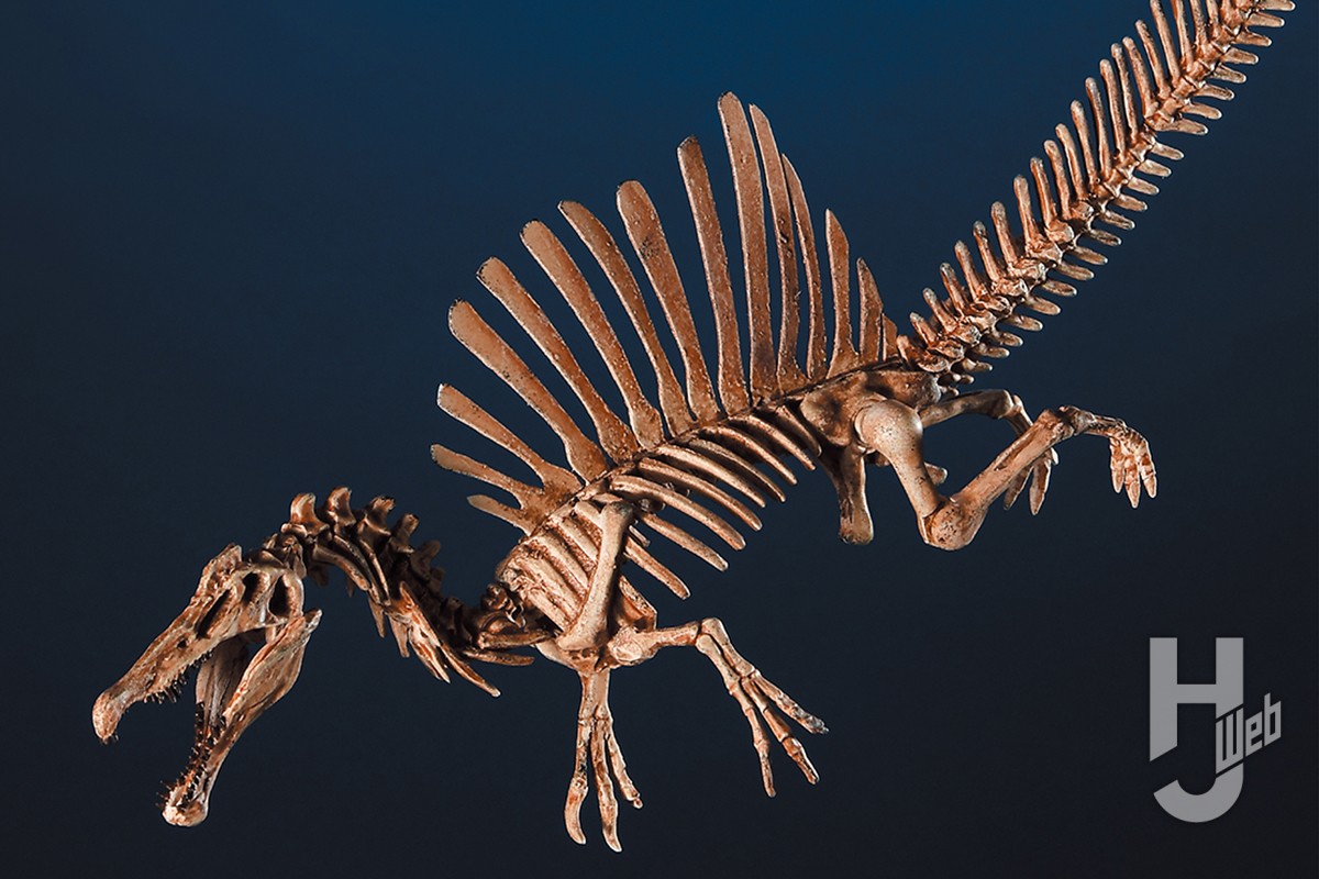 ジュラシックワールド』等で話題の「スピノサウルス」を最新復元