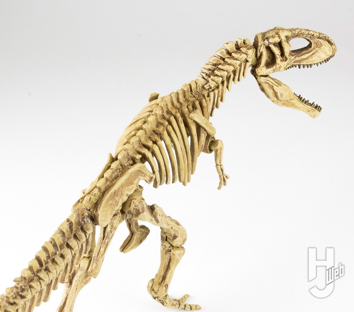 ティラノ超えの超巨大肉食恐竜「ギガノトサウルス」の骨格を復元