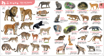 こどもずかん『こどもずかん どうぶつ777 英語つき しゃしん