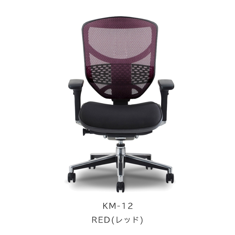 組立不要】 エルゴヒューマン エンジョイ 座面クッションタイプ