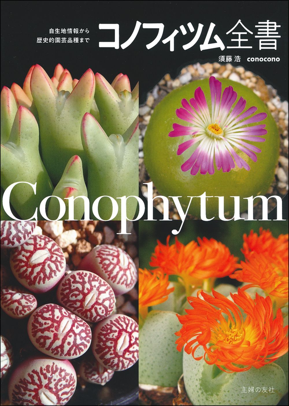 コノフィツム全書 - 株式会社 主婦の友社 主婦の友社の本