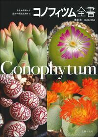 normal_fcf27dbe-0fed-4d01-a349