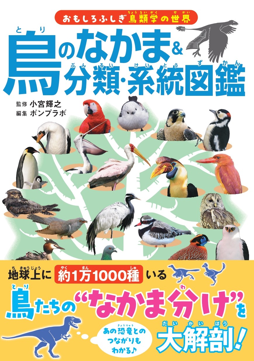 鳥のなかま＆分類・系統図鑑 - 株式会社カンゼン
