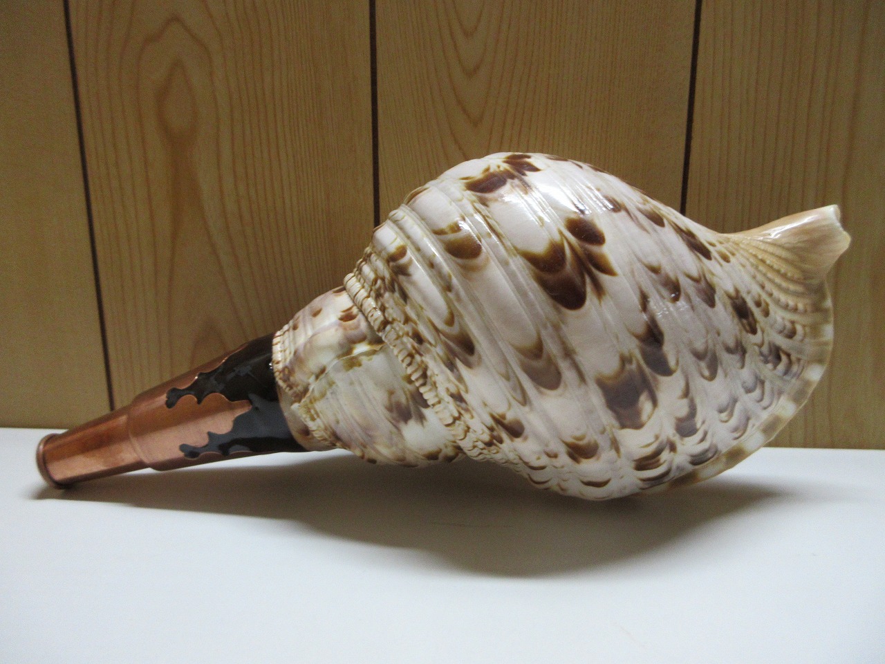 法螺貝（ほら貝）販売のお店