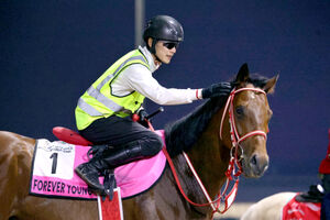 い*う様 【世界唯一】年度代表馬選出記念フォーエバーヤング坂井瑠星