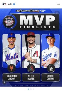 リーグ2冠に「50―50」達成の大谷翔平がMVP最終候補入り DH