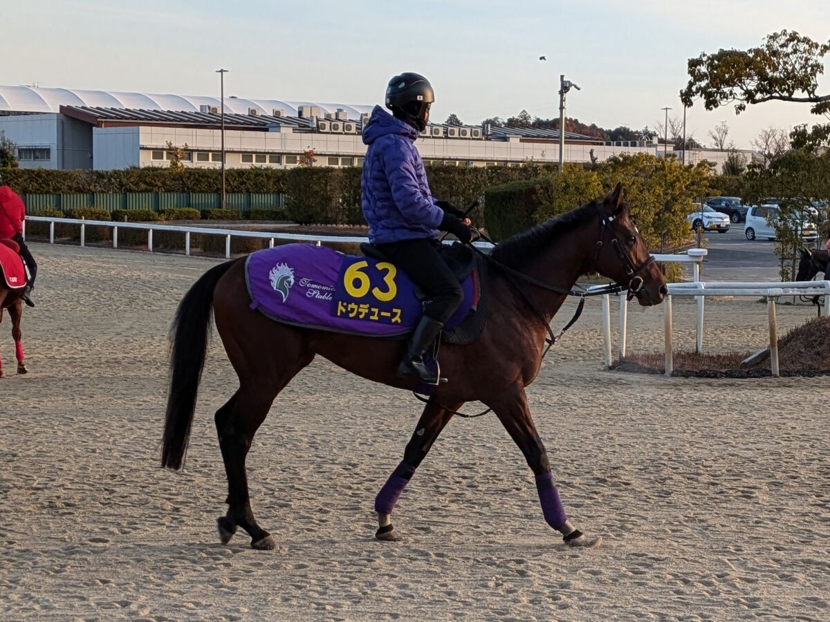 ドウデュース電撃引退 有馬記念ラストラン2日前にまさかの出走