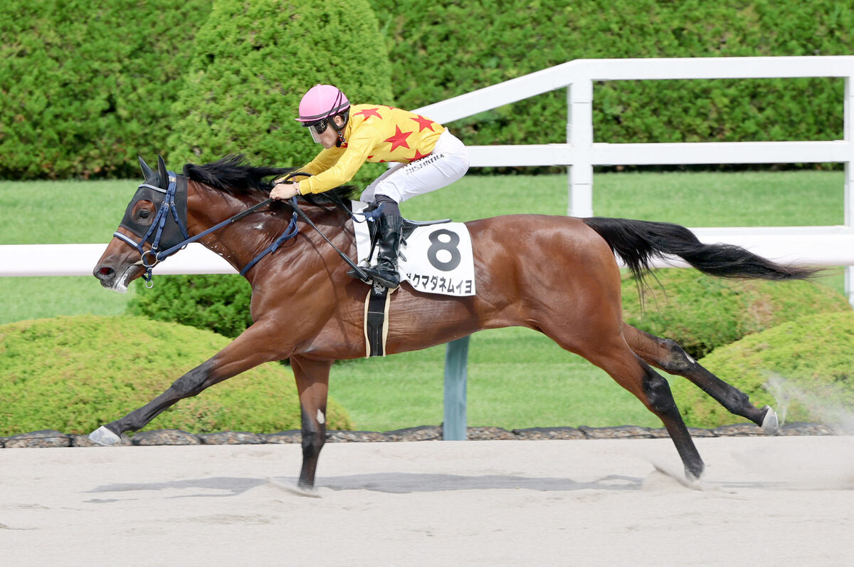 ちゃんと起きてた」珍名馬がまさかの7馬身差圧勝デビューにネット爆笑