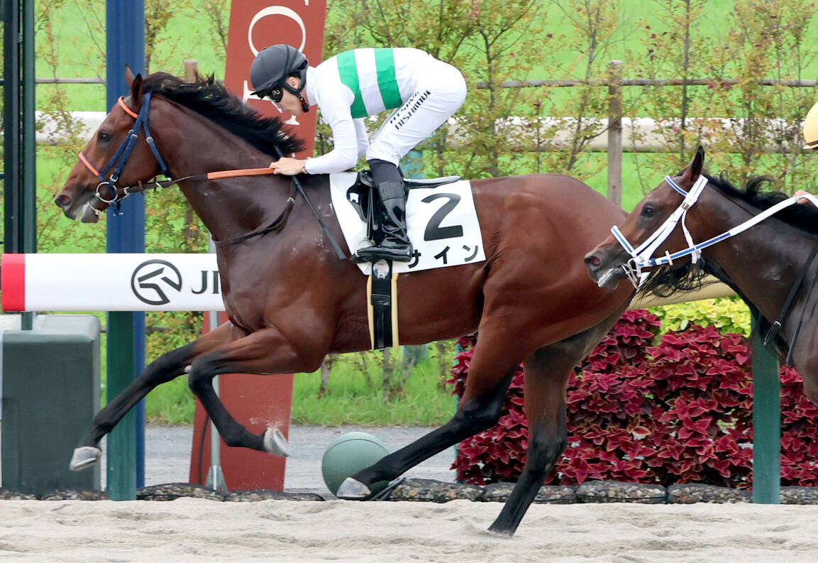 京都2R・2歳未勝利】サインがキセキ産駒のJRA初勝利 馬主も同じ
