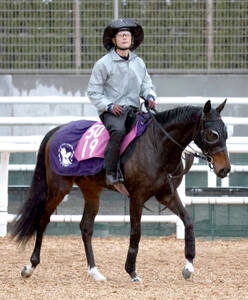 ベリベリホースって何？】戸崎圭太騎手が感激と興奮の余り馬上