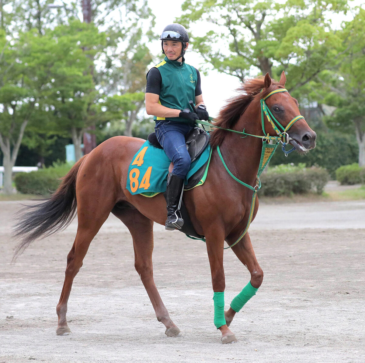 POG】静内農業高校生産の生産馬ライトブラーヴ7・9デビューへ