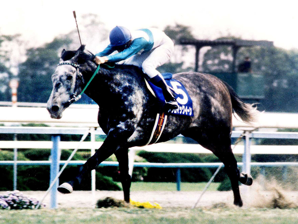 天皇賞・春】冷静に最強ライバル撃破 武豊92年メジロマックイーンで