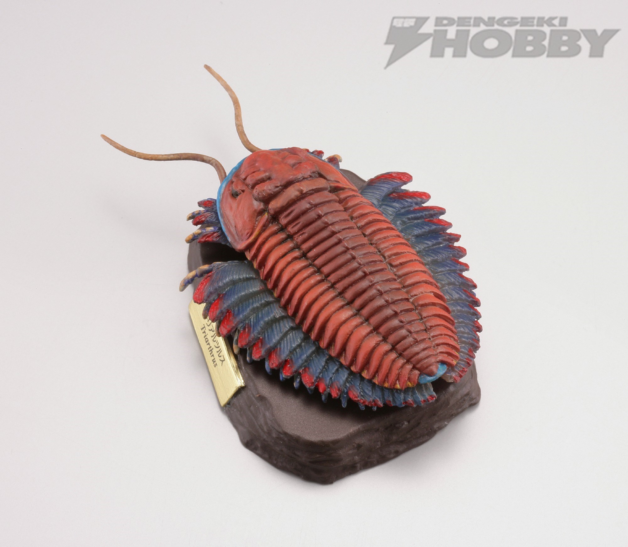 生物マニア大歓喜！ 古生代生物のカプセルフィギュアが海洋堂より登場