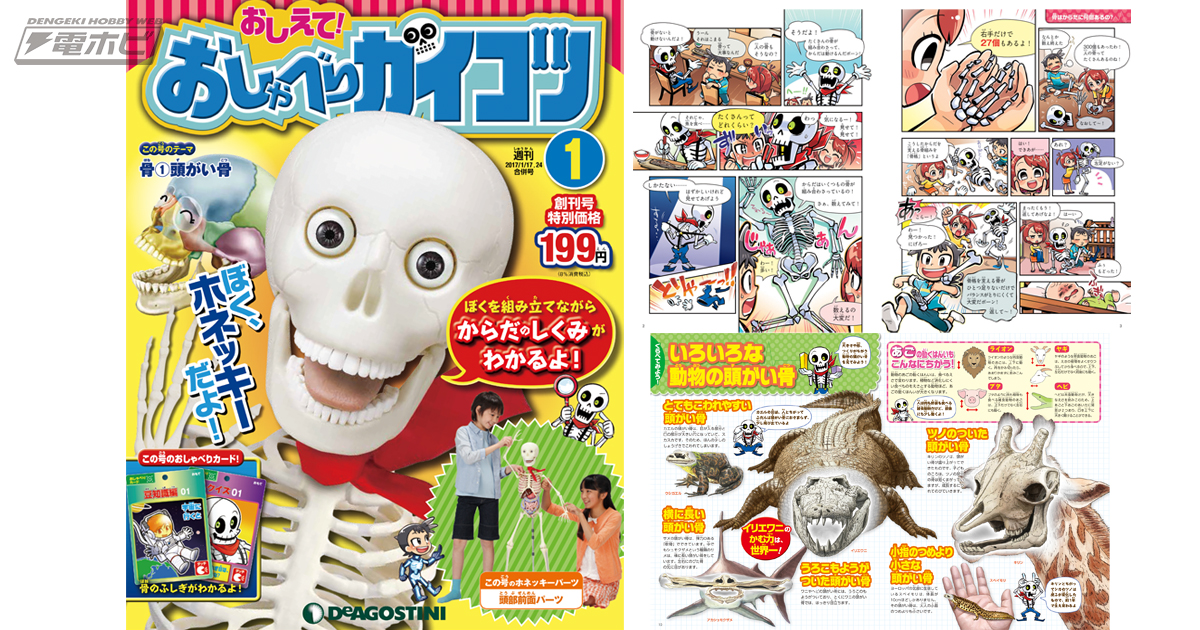 しゃべる人体模型を組み立ててからだを学ぼう】週刊「おしえて