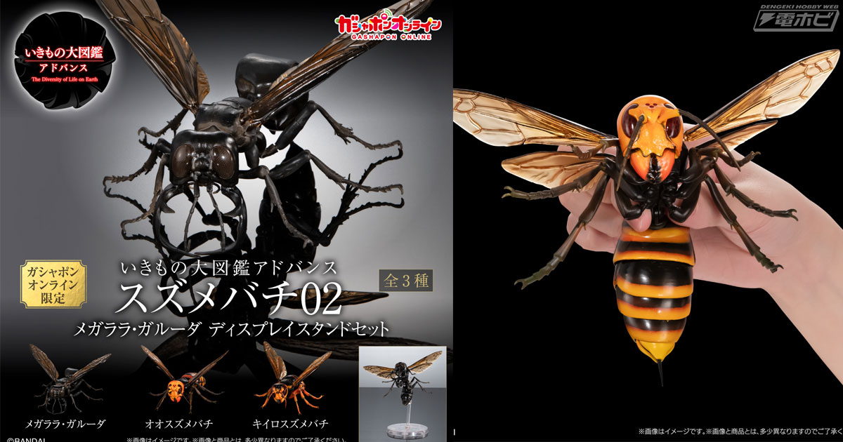 幻の蜂」や「蜂の王様」と言われてきたメガララ・ガルーダを立体化