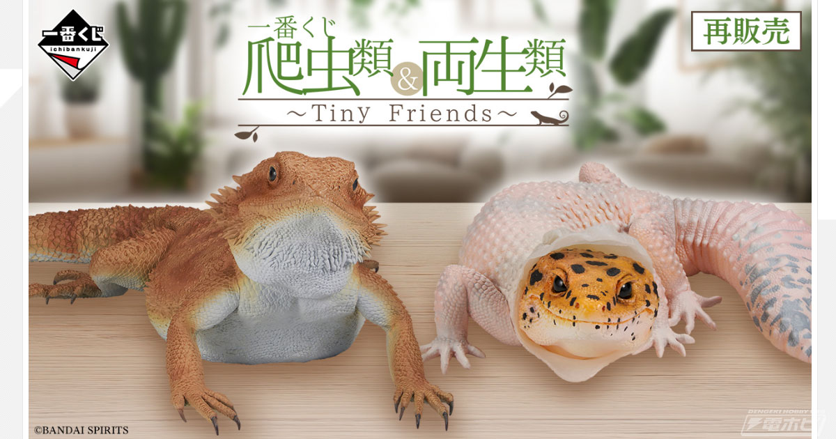一番くじ 爬虫類＆両生類～Tiny Friends～」が再販売決定！フトアゴ