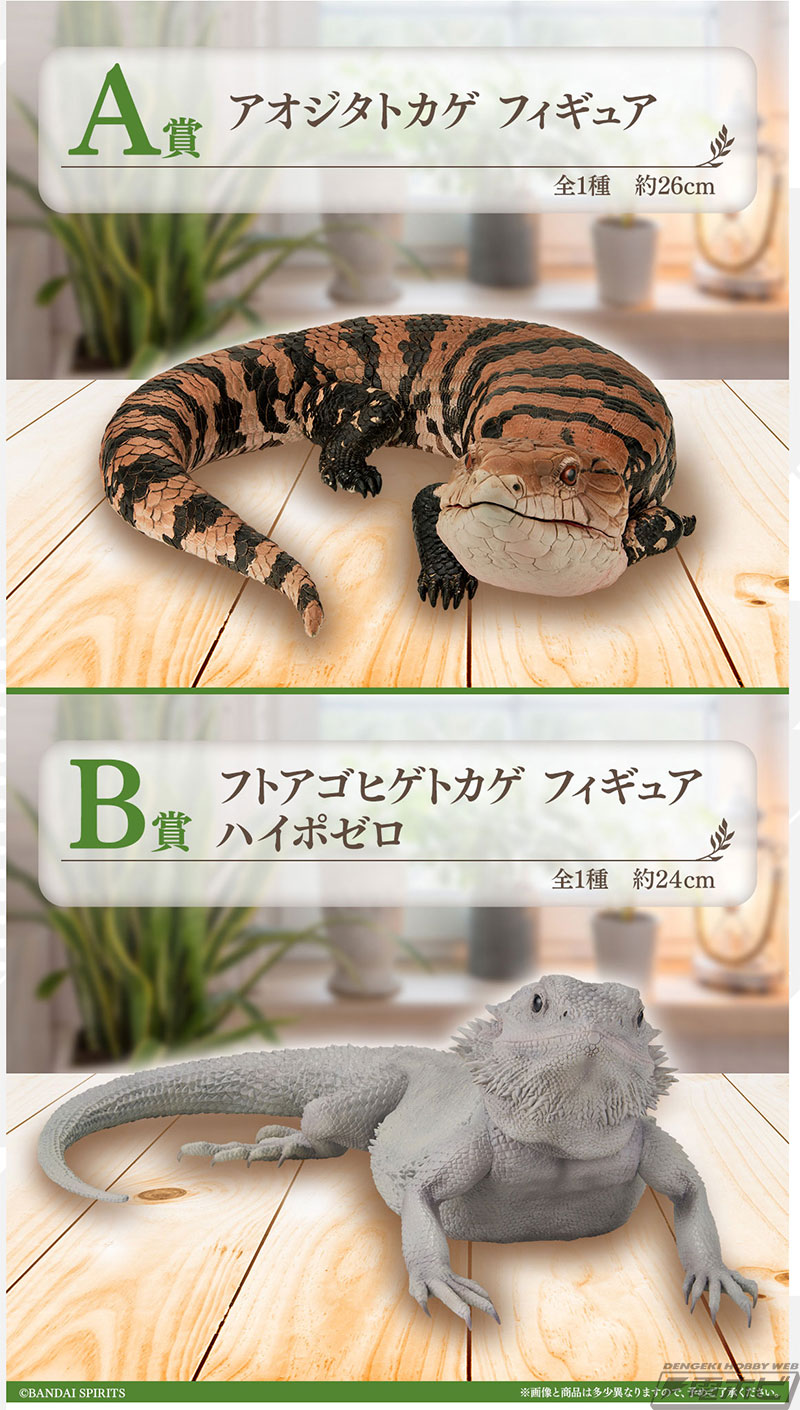 一番くじ 爬虫類＆両生類」待望の第2弾が発売決定！A賞「アオジタ