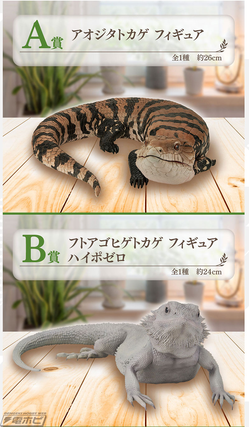 一番くじ 爬虫類＆両生類」第2弾の新たなラインナップ公開！ヘルマン
