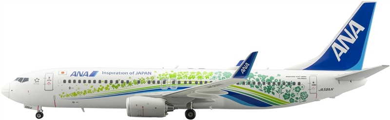 華やかなデザインが魅力！ANAふるさとJET（BOEING 737-800 JA58AN）の1