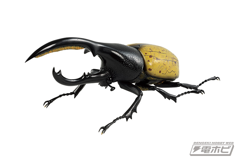 一番くじ 昆虫 LIFE with INSECT」が7月30日（木）に発売！ヘラクレス