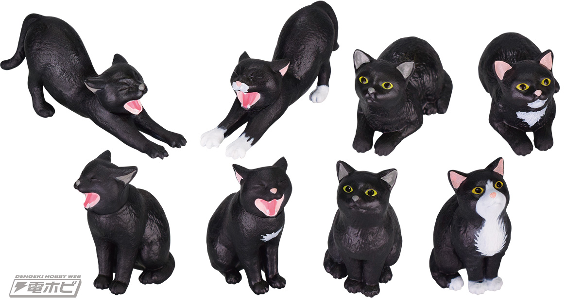 うちのクロがどう考えても一番カワイイ！ターリン・インターナショナル