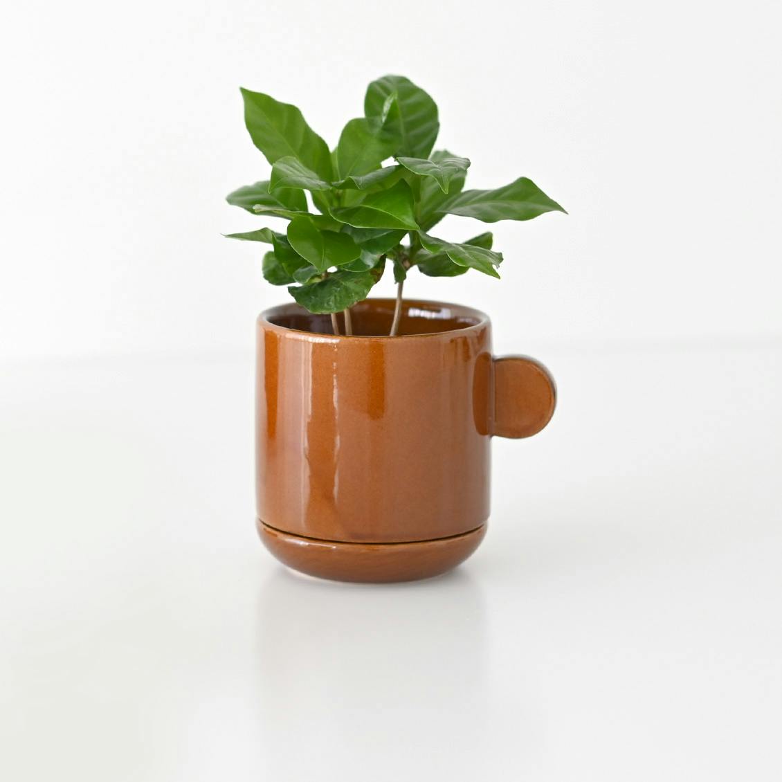 グリーンひとつから広がる暮らし」陶器の植木鉢（受け皿付き）/ 2.5号