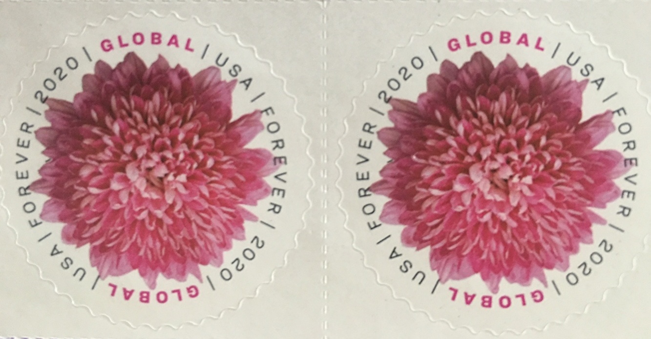 8828 外国切手 1893年 アメリカハワイ暫定政府 田型 加刷 レア 8828 外国