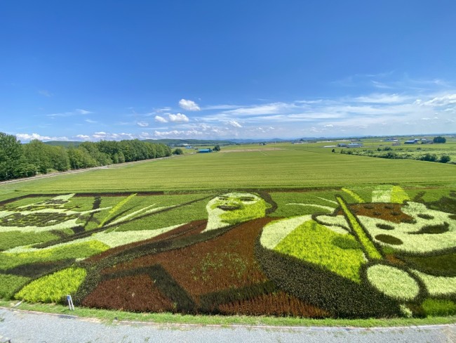 巨大アートが出現!?「JAたいせつ田んぼアート」（旭川市）