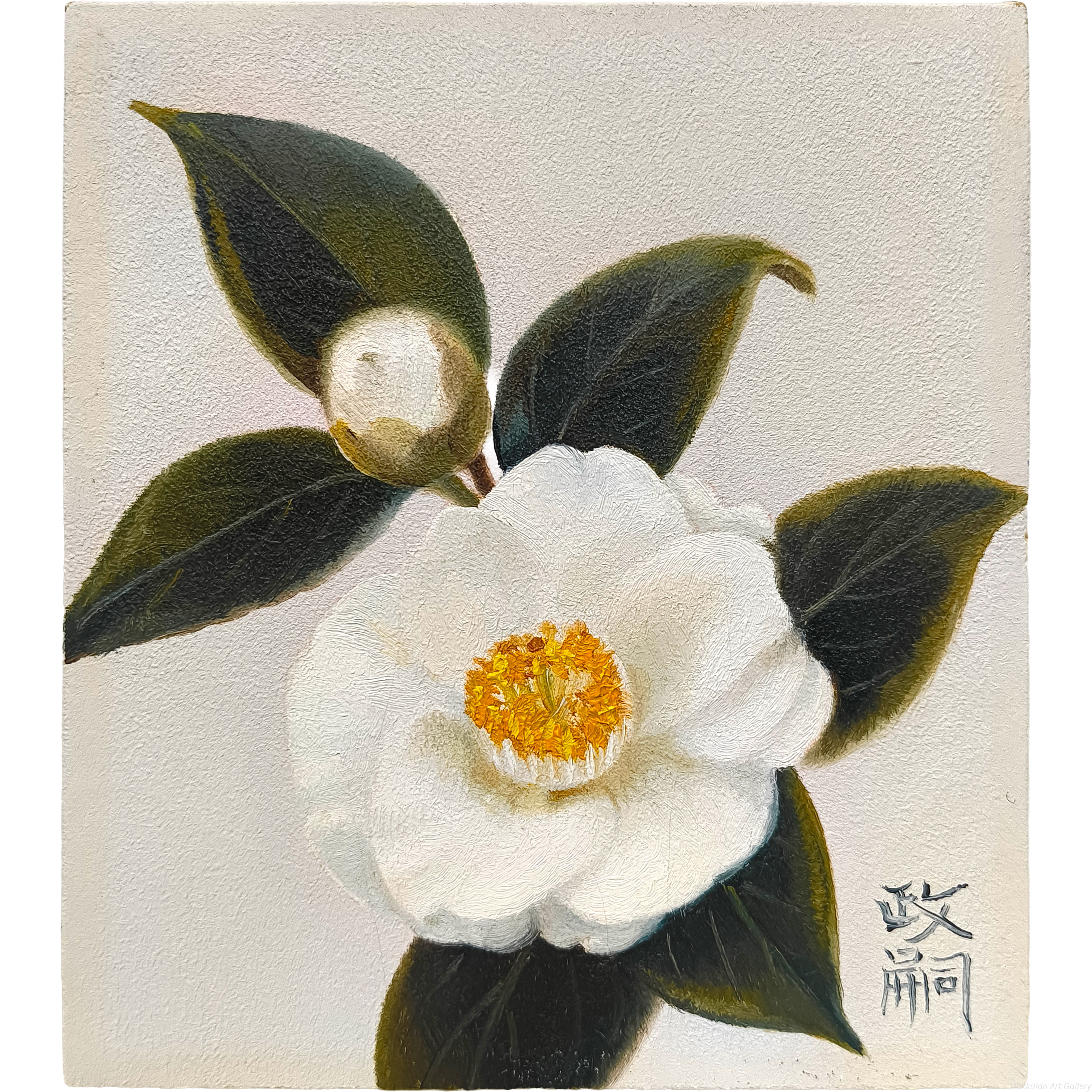 小林政嗣 『白椿』 油彩画 - 北海道画廊