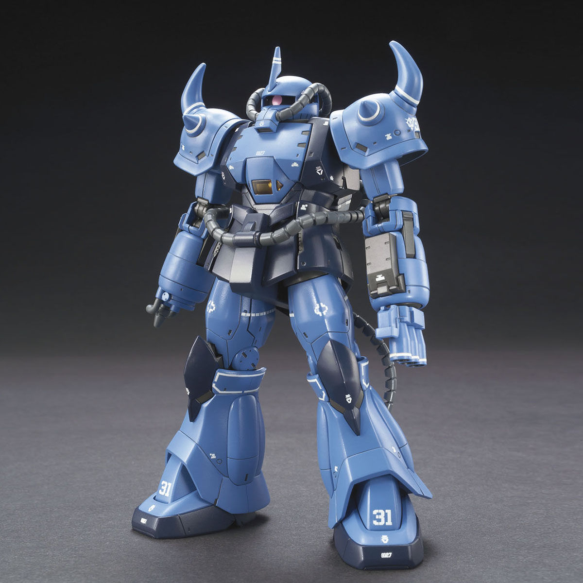HG 1/144 YMS-07B-0 プロトタイプグフ（戦術実証機） タムタム
