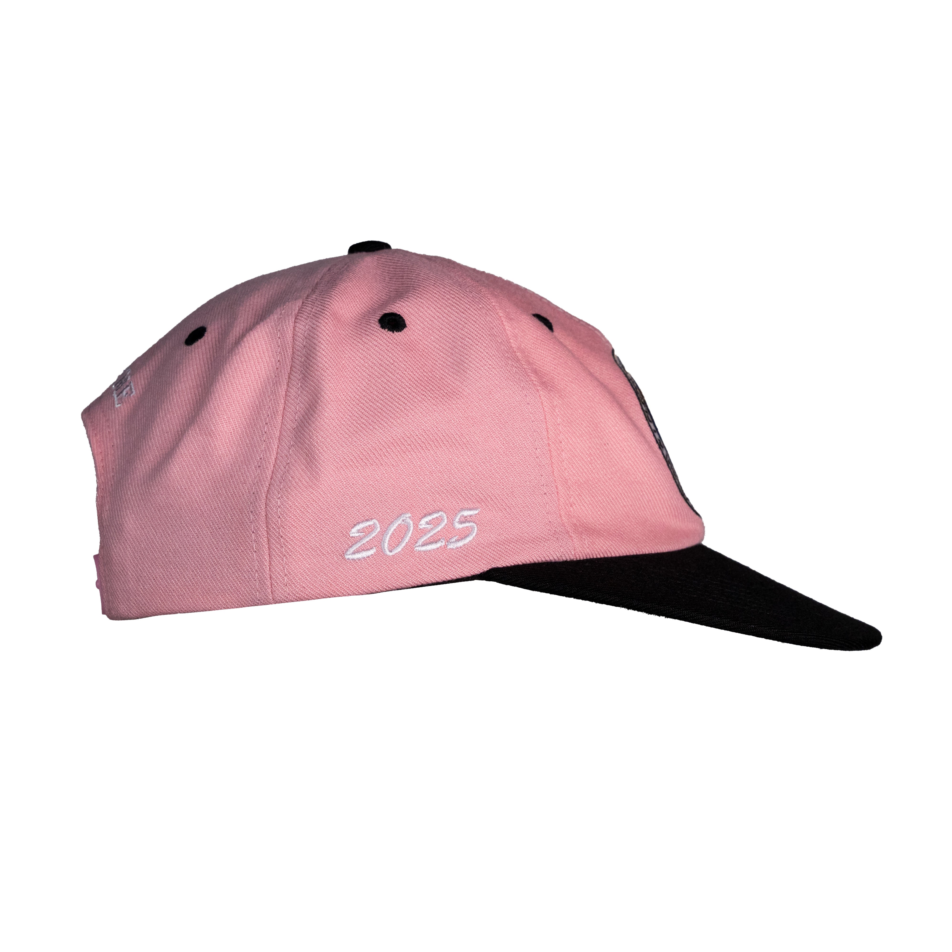 Supreme Pledge Allegiance 6-Panel Cap Pink – Holy Grail